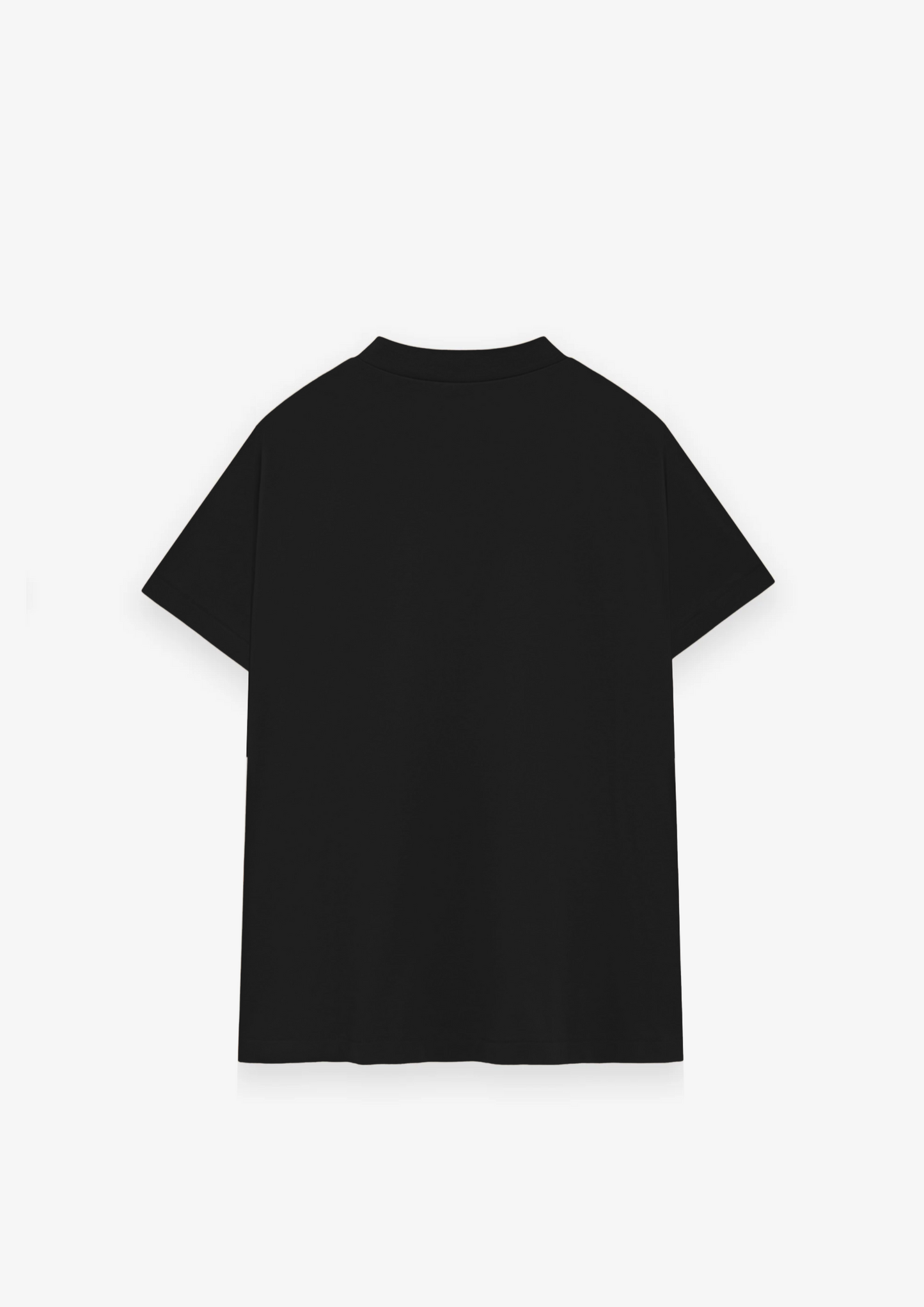 CAMISETA CLASSIC